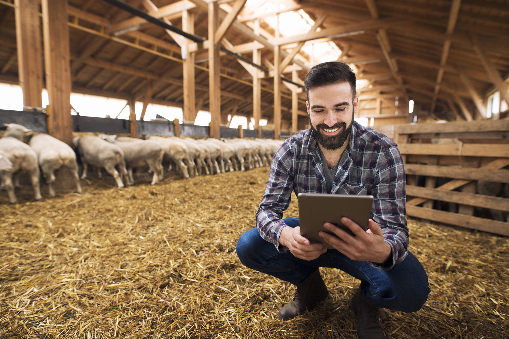 ANABIC, OBIETTIVO SOSTENIBILITÀ CON IL PROGETTO I-BEEF